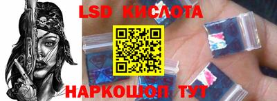 прущие грибы Будённовск