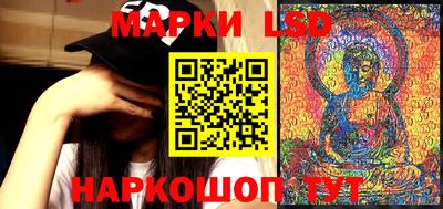 прущие грибы Будённовск
