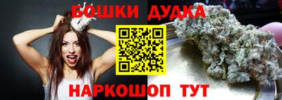 прущие грибы Будённовск