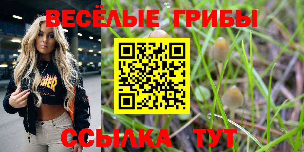 Галлюциногенные грибы ЛСД Феодосия