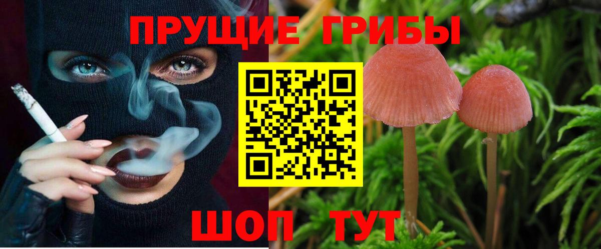 Феодосия  Галлюциногенные грибы мицелий  Вход с VPN 